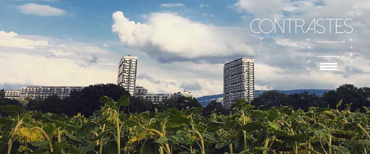 Carousel%2Btitres_0049_Groupe%2053