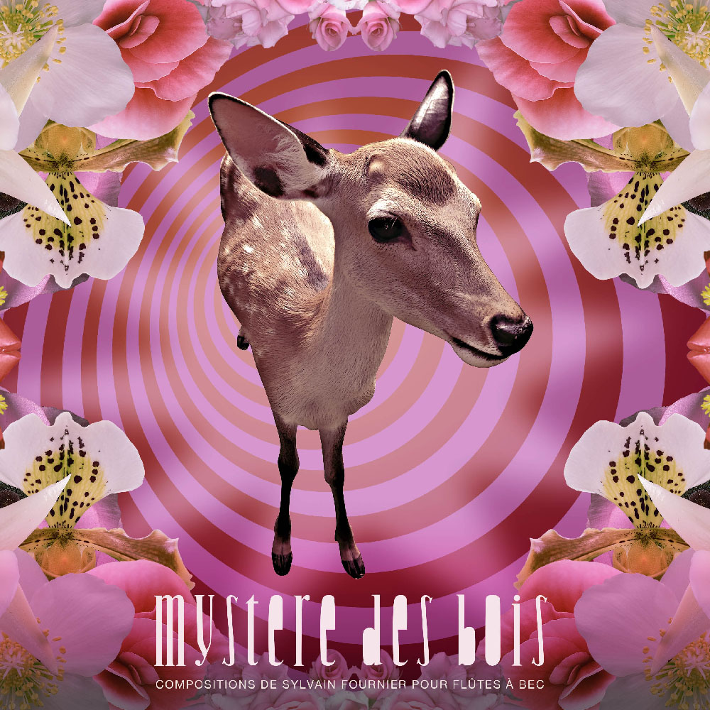 Galerie_0004_Maq7bCOVER